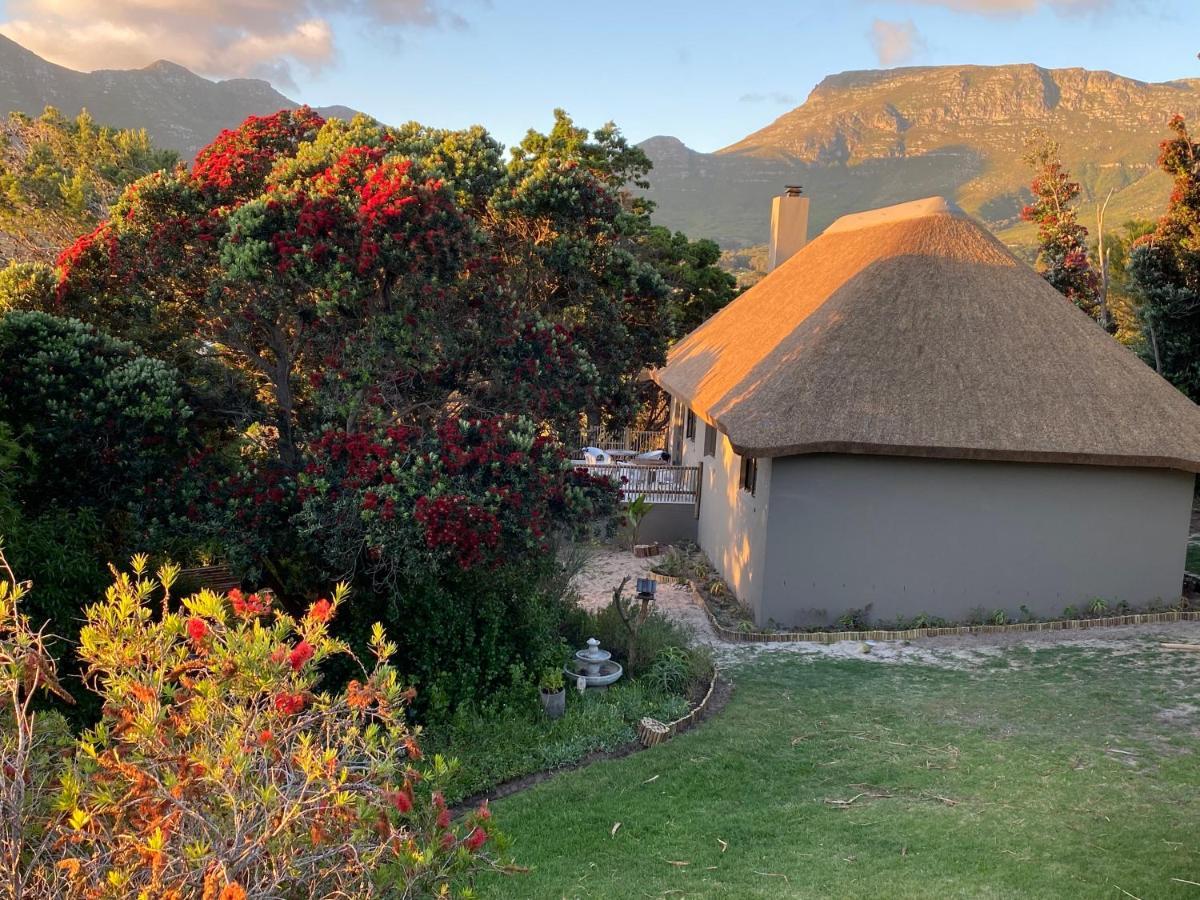 Wild Rose Country Lodge Noordhoek Exterior foto